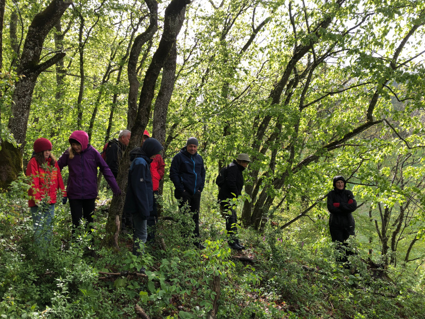 Exkursionsgruppe erkundet den Wald