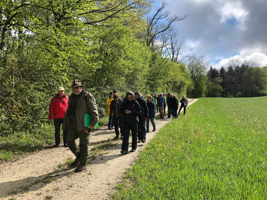 Exkursionsgruppe geht am Waldrand entlang