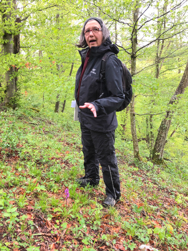 Referentin Verena Doppler erklärt Pflanzen am Waldrand