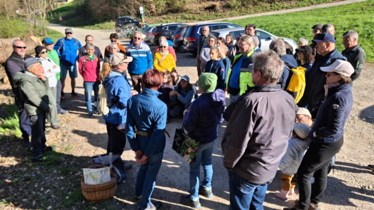 Exkursion – Essbare Wildpflanzen