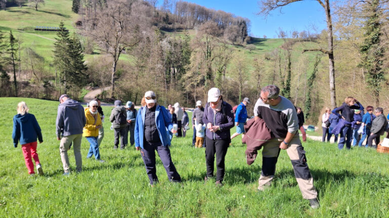 Impression von der Exkursion zu essbaren Wildpflanzen